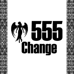 エンジェルナンバー 555 Change ウォールステッカー 30cm 転写タイプ 黒背景白文字 スピリチュアル インテリア